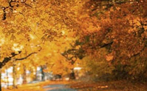 �������L��������