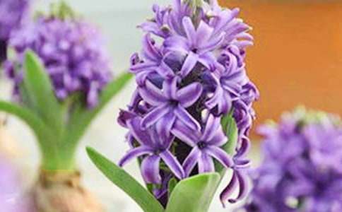 ���꼉�L(f��ng)�����^����ӛ���ķ���