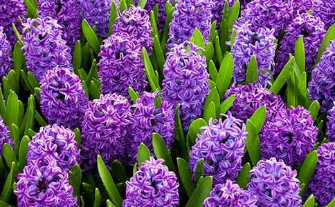 �������L(f��ng)�������ĺϼ�15ƪ