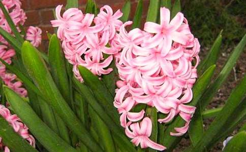 �ҵ��L(f��ng)�������ģ����x25ƪ��