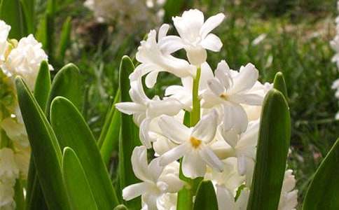 �������L��������7ƪ