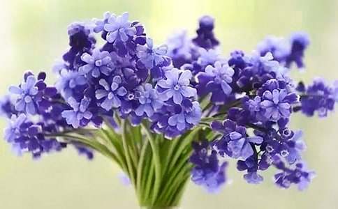 �o�ҿ옷���L(f��ng)��������