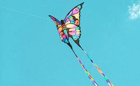 �L(f��ng)�~��ӛ���������ģ�ͨ��17ƪ��