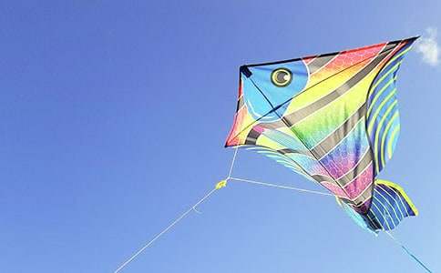 ���L�~�Ŀ��D��Ԓ����