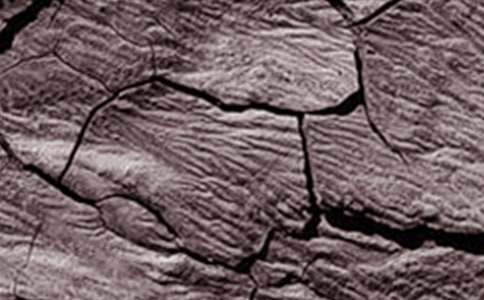 �����ֹ��Į���͸ɺ��գ����o��ľ���h��