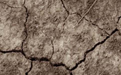 世界防治荒漠化和干旱日作文:節(jié)約水資源,愛護(hù)環(huán)境(通用22篇)