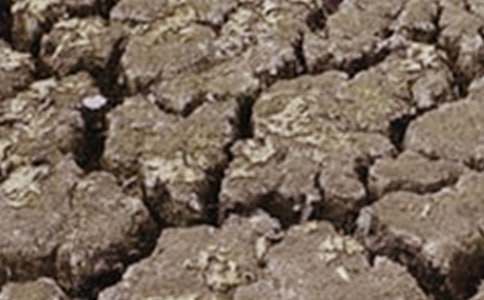  �����ֹ��Į���͸ɺ������ģ��ƴ���Ȼ���c��Ȼ���C��̎