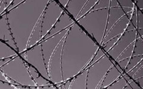 �����]������呟�����F�L(zh��ng)������2ƪ