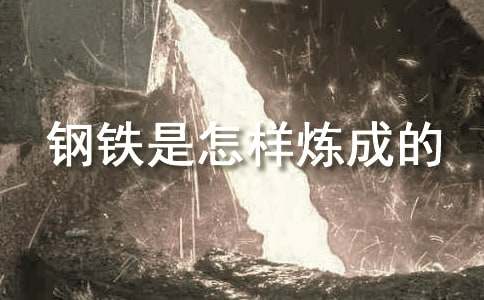 鋼鐵是怎樣煉成的讀書筆記范文