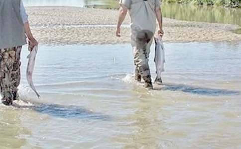 �ҵ��F�炃����