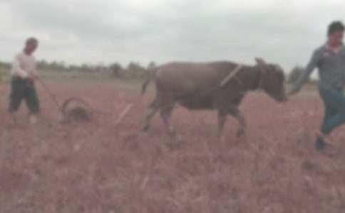 ���ܸ�������Ĺ�Ԋ(sh��)