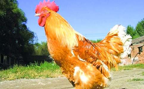 �����ҵĴ��u����