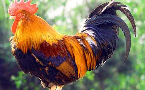 ���u�������Ժ�Ľ�(j��ng)��Ԣ�Թ���