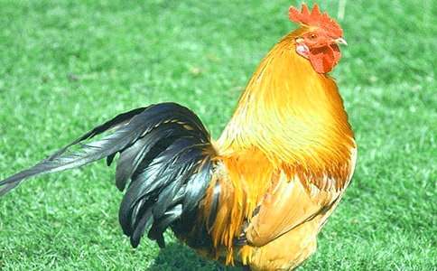 �����u������100��