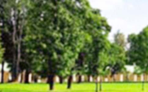 ���P(gu��n)��ƽ���@���ąR��5ƪ