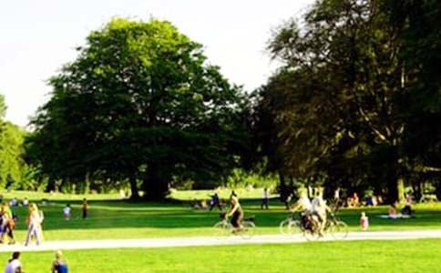 公園的一角小學(xué)作文(精選38篇)