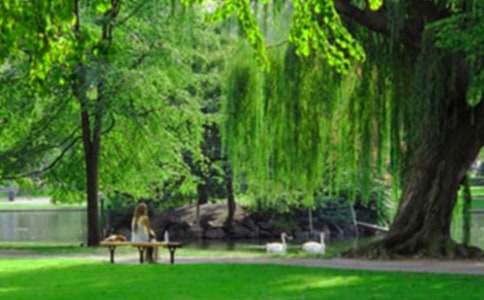 �κ�ƽ���@���ĺϼ�7ƪ