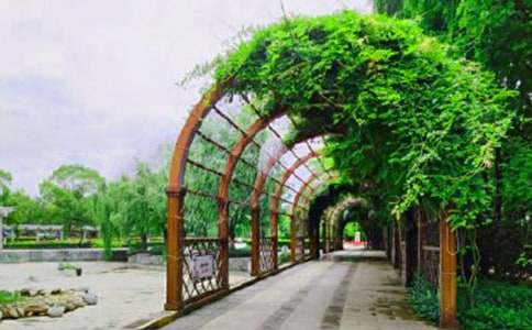 �P(gu��n)�ں�ƽ���@����300��10ƪ