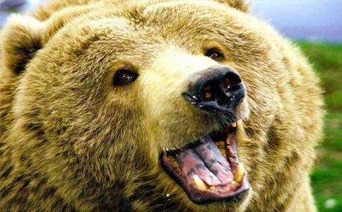 ���x��������500��4ƪ