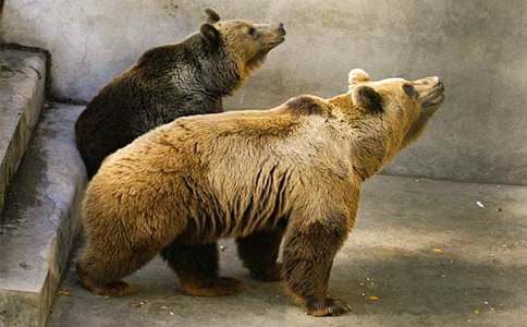 С�W(xu��)���vͯԒ����ֻ������