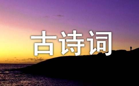 遇見最美古詩詞優(yōu)秀征文(通用17篇)