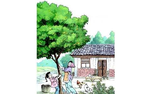 ���������400��