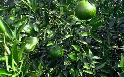 �l(xi��ng)�g���@��������