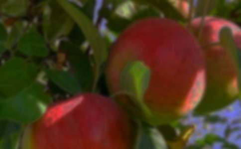 ���᡿�����Ĺ��@����