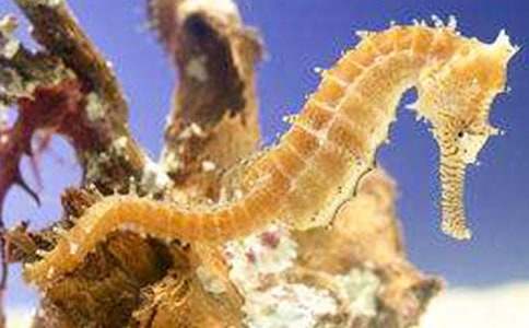 ���R�ְֵ�����