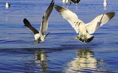 ���t�û������Z�_�˴�����