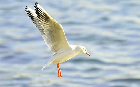 ���t����������