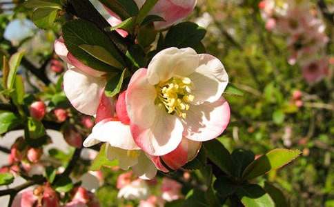 �����еĺ�������10ƪ