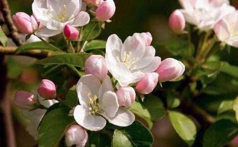 �������еĺ�������