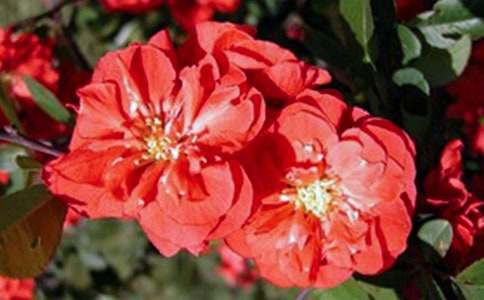 �ļ���������(7ƪ)