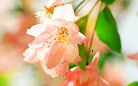 ��������ʢ���ﺣ������