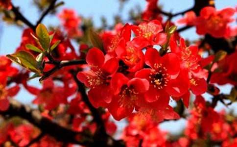 ӛ����Ժ����ĺ��Ę�(sh��)����