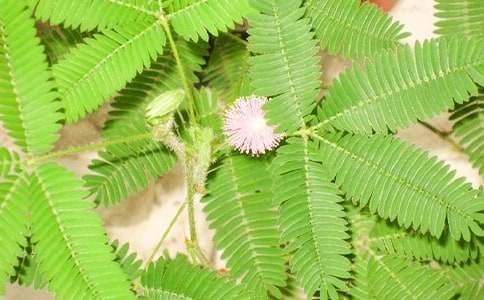 ���Һ��߲�С�W(xu��)���^�����ģ����x36ƪ��