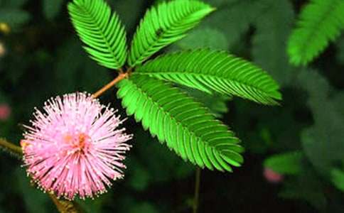 �^�캬�߲����ġ����]��