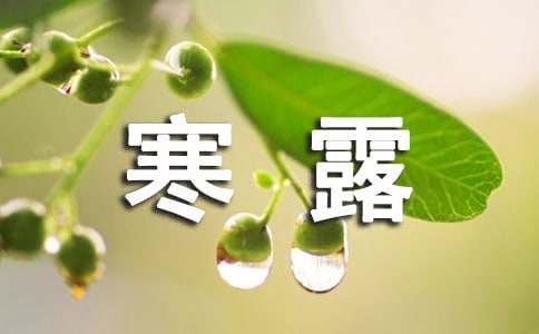 2016年關(guān)于寒露賀詞大全