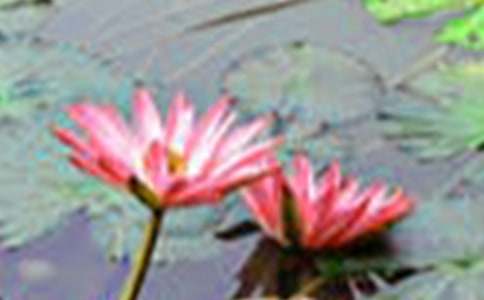 �������ºɻ����G�r(sh��)