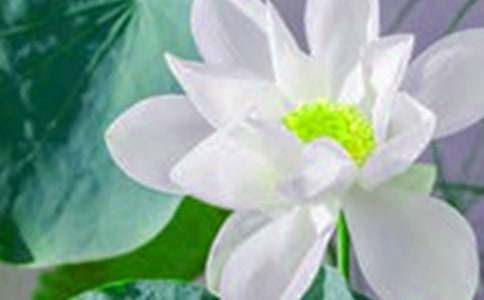 �ɻ�΢Ц�˵�С�W(xu��)����