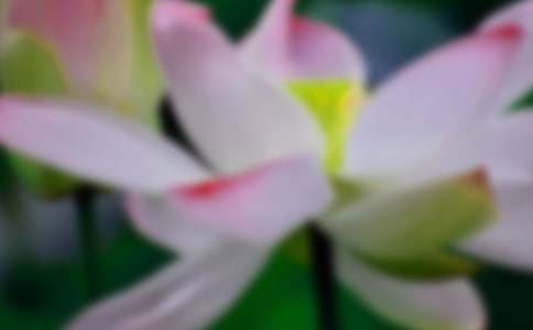 ���l(xi��ng)�ĺɻ�С�W���ģ����x20ƪ��