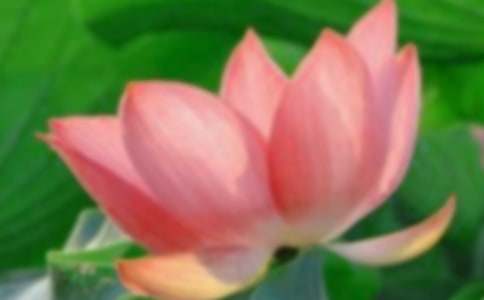 ���ۺɻ���(y��u)������500��