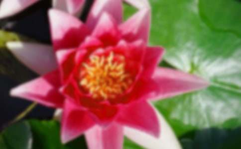 ���ºɻ����G�r������