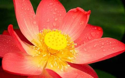 �P���^��ɻ������ģ����x20ƪ��