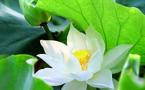 �ɻ�����700�֣�ͨ��29ƪ��