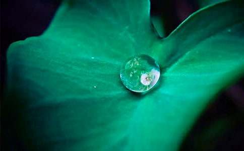 ٝ�����~������100��