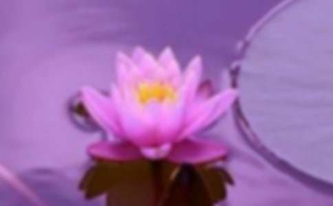 ���C֮����������������3ƪ