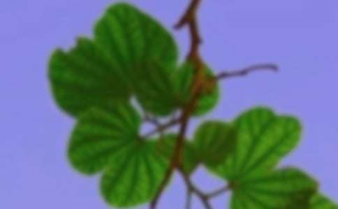 �P(gu��n)���Ժ��C��Ԓ�}������