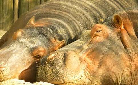 �o���Rˢ���x������ģ�ͨ��22ƪ��